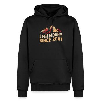 Légendaire depuis 2001 Wanderer Mountain Vintage - Sweat à capuche Premium bio Homme - noir - Devant - Nico (187cm)