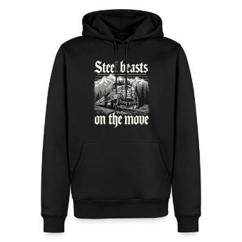 Railfan Passionné de train Amoureux des locomotives - Sweat à capuche Premium bio Homme - noir - Devant - Nico (187cm)