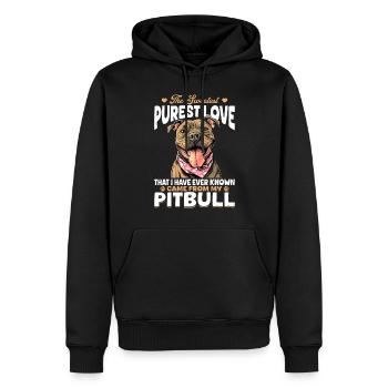 Pitbull Terrier Dog Owner - Männer Premium Bio Hoodie - Schwarz - Vorne - Nico (187cm)