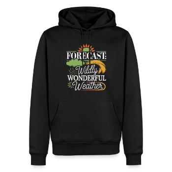 Skurrile Wettermuster, Skurrile Wolken, Lustig - Männer Premium Bio Hoodie - Schwarz - Vorne - Nico (187cm)