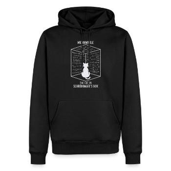Die Katze in Schrödingers Box – Quantenspaß - Männer Premium Bio Hoodie - Schwarz - Vorne - Nico (187cm)