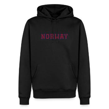 Norway - Men’s Premium Organic Hoodie - black - Front - Nico (187cm)