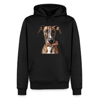 Windhund - Männer Premium Bio Hoodie - Schwarz - Vorne - Nico (187cm)