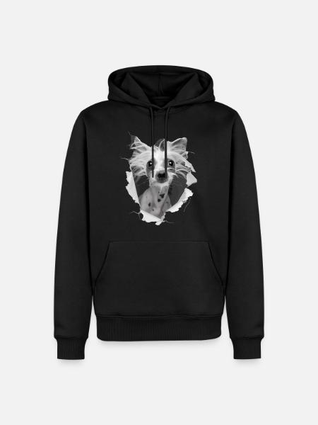 Chinesischer Schopfhund - Männer Premium Bio Hoodie - Schwarz