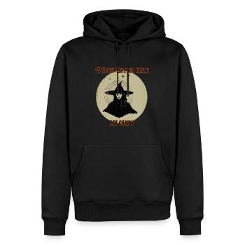 Hexe sollte besser meine Süßigkeiten haben, Halloween - Männer Premium Bio Hoodie - Schwarz - Vorne - Nico (187cm)