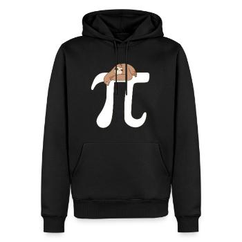 Math Sloth Pi - Men’s Premium Organic Hoodie - black - Front - Nico (187cm)