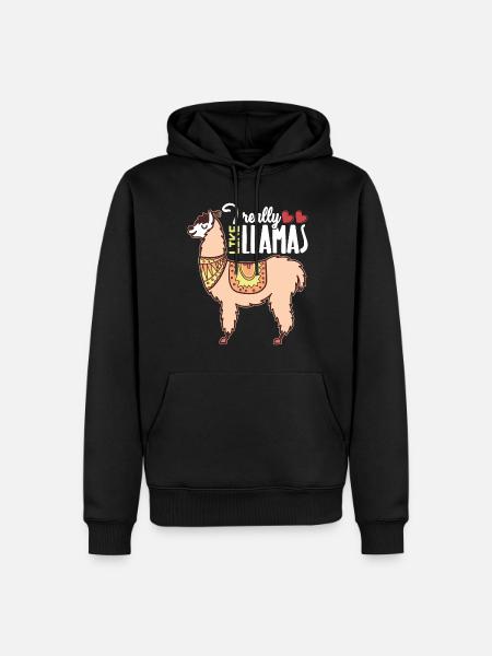 Llama I Really Like Llamas - Men’s Premium Organic Hoodie - black