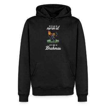 Brahma Poulet I Poule Oeuf Coq Motif pour les éleveurs de poulet - Sweat à capuche Premium bio Homme - noir - Devant - Nico (187cm)