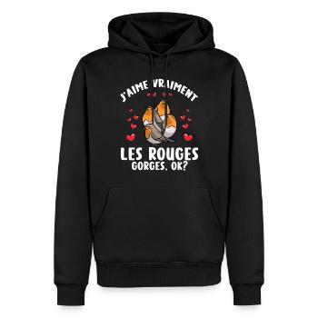 Rouge-gorge Familier Humour Oiseau - Sweat à capuche Premium bio Homme - noir - Devant - Nico (187cm)