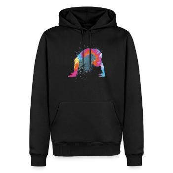 Figure colorée Gymnastique Gymnaste Cadeaux de gymnastique - Sweat à capuche Premium bio Homme - noir - Devant - Nico (187cm)