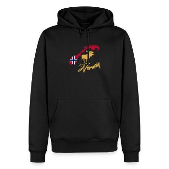 Norway Norwegen - Männer Premium Bio Hoodie - Schwarz - Vorne - Nico (187cm)