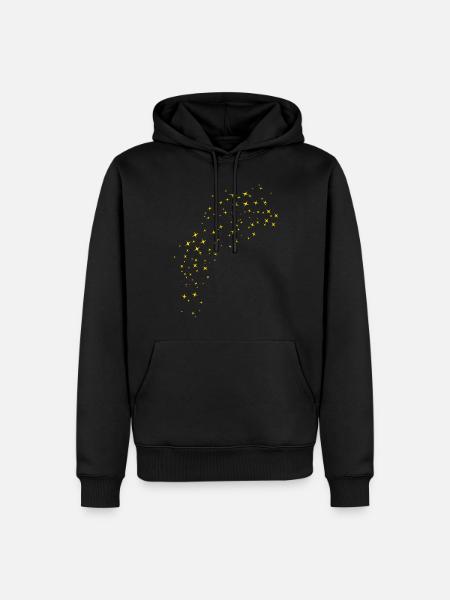 Sternenhimmel Gold - Herre Premium økologisk hoodie - sort