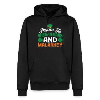 Sensible aux bêtises et aux méfaits Irlande Gaélique Irlandais - Sweat à capuche Premium bio Homme - noir - Devant - Nico (187cm)