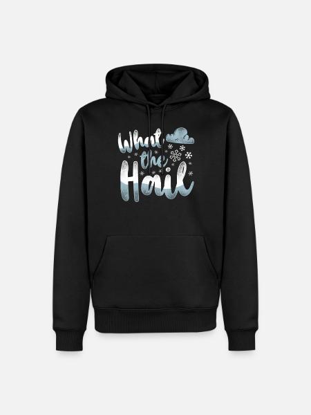 Meteorologist Weather Forecast - Men’s Premium Organic Hoodie - black