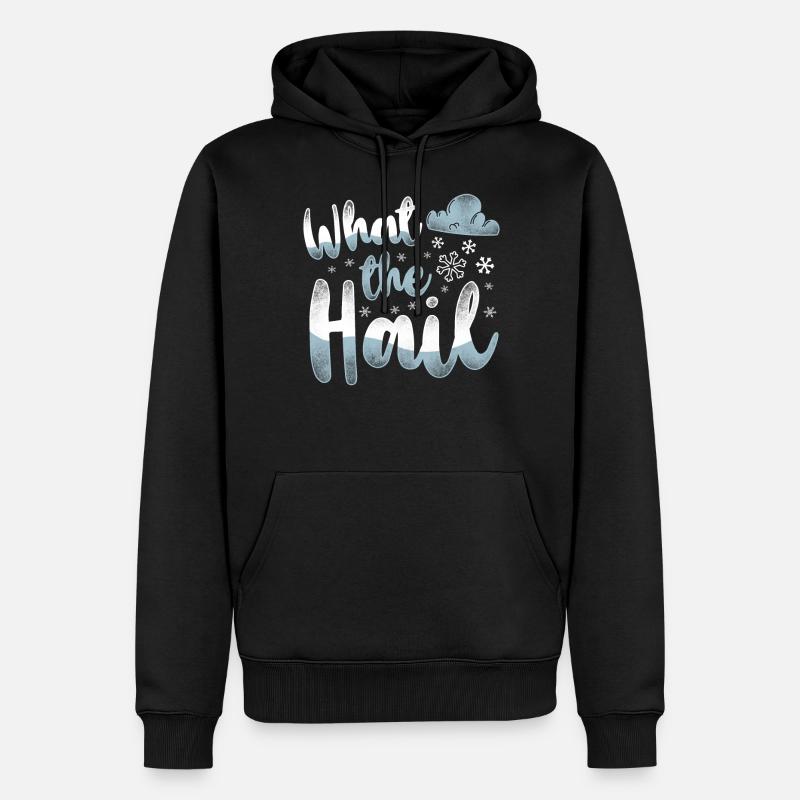 Meteorologist Weather Forecast - Männer Premium Bio Hoodie - Schwarz