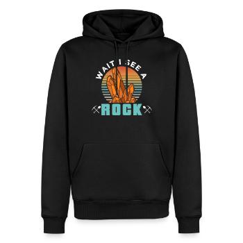 Waiting I See A Stone Geologist Geology Profession - Men’s Premium Organic Hoodie - black - Front - Nico (187cm)