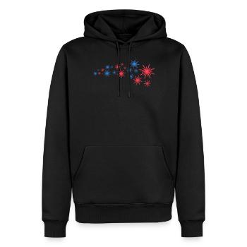 Sternenflotte In Blau Und Rot - Männer Premium Bio Hoodie - Schwarz - Vorne - Nico (187cm)