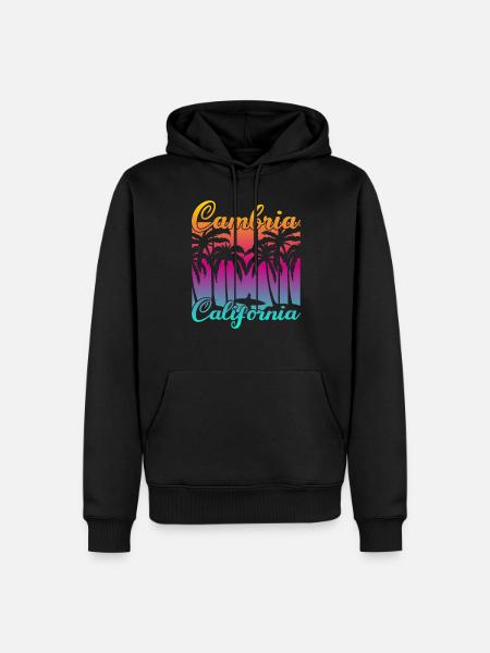 Cambria California Sunset - Men’s Premium Organic Hoodie - black