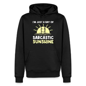 Sarcastique - Je ne suis qu’un rayon de soleil sarcastique - - Sweat à capuche Premium bio Homme - noir - Devant - Nico (187cm)