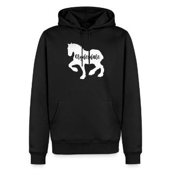 Chemise Clydesdale Clydesdale Rider - Sweat à capuche Premium bio Homme - noir - Devant - Nico (187cm)