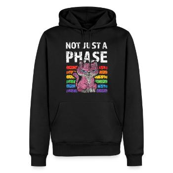 Not just a phase Regenbogen Lgbtq Pride Katzen - Männer Premium Bio Hoodie - Schwarz - Vorne - Nico (187cm)