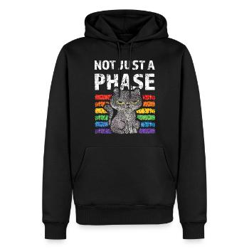 Regenbogen Not just a Phase Pride Katzen Schwul - Männer Premium Bio Hoodie - Schwarz - Vorne - Nico (187cm)