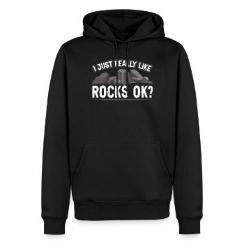 I just like stones Okay? Geology Geologist - Men’s Premium Organic Hoodie - black - Front - Nico (187cm)