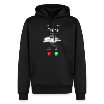 Conducteur de train diesel de marchandises - Sweat à capuche Premium bio Homme - noir - Devant - Nico (187cm)