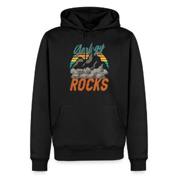 Géologie Professeur de géologie Étudiant en géologie Géologue - Sweat à capuche Premium bio Homme - noir - Devant - Nico (187cm)