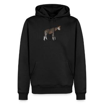 Okapi I Waldgiraffe aus dem Regenwald für - Männer Premium Bio Hoodie - Schwarz - Vorne - Nico (187cm)