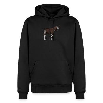 Okapi I Waldgiraffe aus dem Regenwald für - Männer Premium Bio Hoodie - Schwarz - Vorne - Nico (187cm)