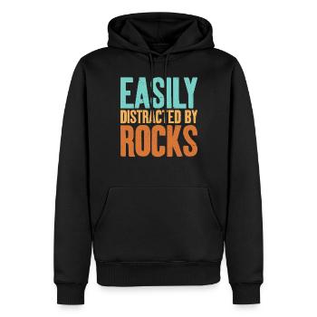 Légèrement distrait par les rochers égyptiens - Sweat à capuche Premium bio Homme - noir - Devant - Nico (187cm)