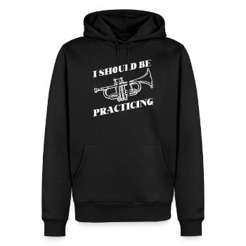 Trumpet Player I Should Be - Männer Premium Bio Hoodie - Schwarz - Vorne - Nico (187cm)