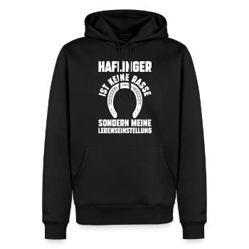 Pferd Reitsport Reiten Pferdesport Haflinger - Männer Premium Bio Hoodie - Schwarz - Vorne - Nico (187cm)
