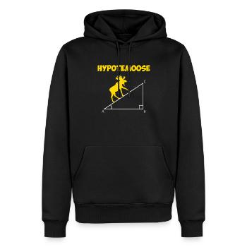 hypotemoose, math teacher hypotemoose - Männer Premium Bio Hoodie - Schwarz - Vorne - Nico (187cm)