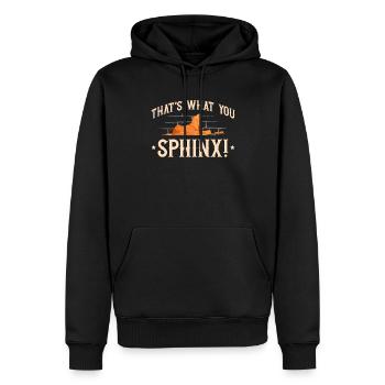 C’est ce que vous Sphinx Mythologie égyptienne - Sweat à capuche Premium bio Homme - noir - Devant - Nico (187cm)