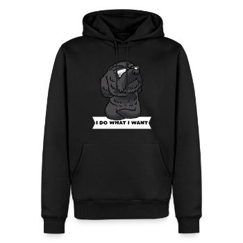 Schnoodle Hund Mit Sonnenbrille - Männer Premium Bio Hoodie - Schwarz - Vorne - Nico (187cm)