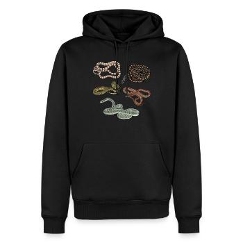 Arten von Schlangen Chrysopelea Fliegende Schlange - Männer Premium Bio Hoodie - Schwarz - Vorne - Nico (187cm)
