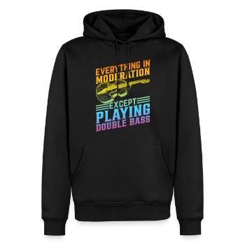 Double Bassist Double Bass Musician - Männer Premium Bio Hoodie - Schwarz - Vorne - Nico (187cm)