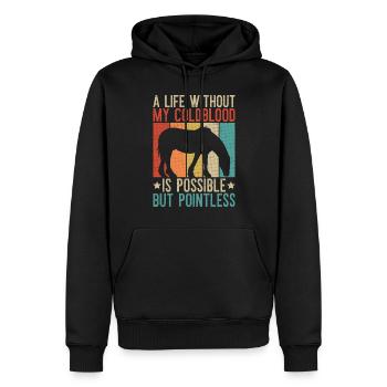 Clydesdale Rreiter Für Schottische Pferderas Pferd - Sweat à capuche Premium bio Homme - noir - Devant - Nico (187cm)