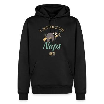 Faultier Liebhaber Faultier Geschenk - Männer Premium Bio Hoodie - Schwarz - Vorne - Nico (187cm)