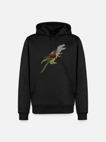 Parakeet Funny saying - Men’s Premium Organic Hoodie - black