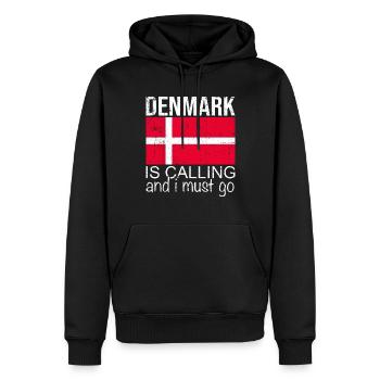 Danemark Dicton - Sweat à capuche Premium bio Homme - noir - Devant - Nico (187cm)