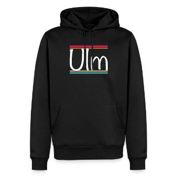 Ulm - Sweat à capuche Premium bio Homme - noir - Devant - Nico (187cm)