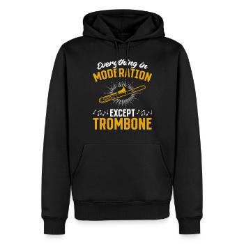 Tout avec modération sauf jouer du trombone M - Sweat à capuche Premium bio Homme - noir - Devant - Nico (187cm)