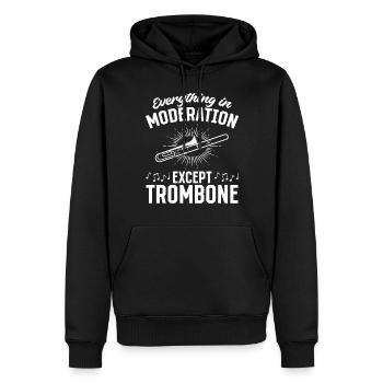 Tout avec modération sauf jouer du trombone M - Sweat à capuche Premium bio Homme - noir - Devant - Nico (187cm)