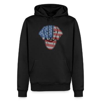 Rhodesian Ridgeback Rhodesian Ridgeback Flag - Men’s Premium Organic Hoodie - black - Front - Nico (187cm)