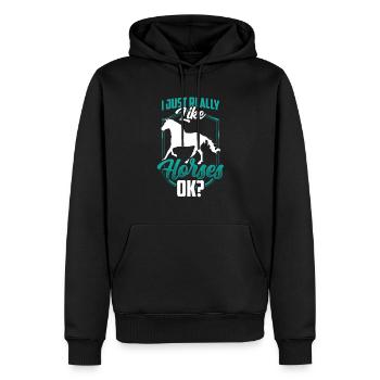 J’aime beaucoup monter à cheval Cavalier - Sweat à capuche Premium bio Homme - noir - Devant - Nico (187cm)