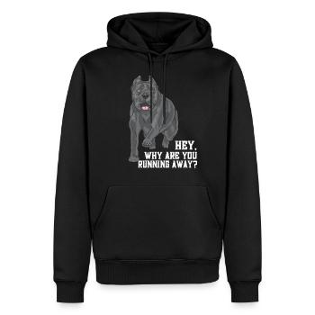 Pourquoi vous enfuyez-vous - Sweat à capuche Premium bio Homme - noir - Devant - Nico (187cm)