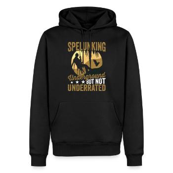Höhlenforschung Unterirdische Höhle Erkundung - Männer Premium Bio Hoodie - Schwarz - Vorne - Nico (187cm)